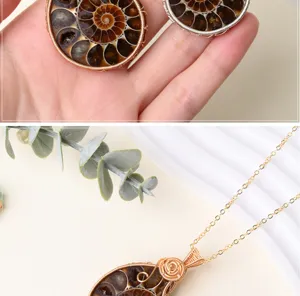 Handmade ammonite fossil pendant necklace featuring natural shell slice and wire wrapped detail.