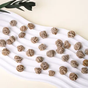 Esemplare di pietra minerale di cristallo di rosa del deserto naturale per decoro