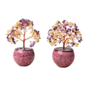 Natural crystal money tree bonsai dual display desktop ornament for home decoration.