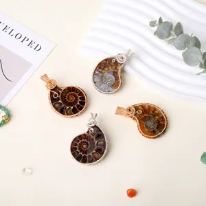 Natural ammonite fossil shell pendant handmade wire wrapped ocean spiral jewelry main image.