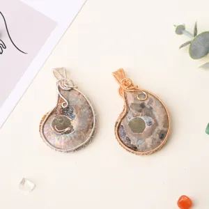 Natural ammonite fossil shell pendant handmade wire wrapped necklace main product view