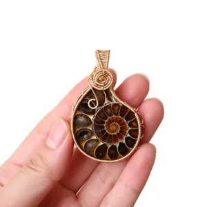 Natural Ammonite Fossil Shell Pendant Handmade Wire Wrapped Copper Necklace Jewelry Main