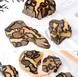 Natural septarian nodule stone slices rough mineral specimens for home decor and display.