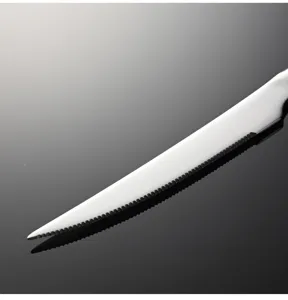 Coltello da bistecca in acciaio inossidabile con lama seghettata, finitura lucida a specchio.