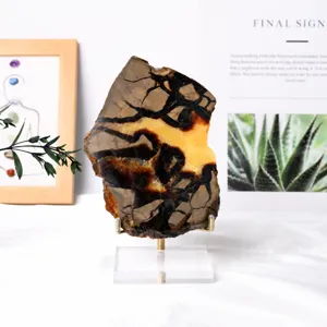 Natural Septarian Nodule Stone Slice Mineral Specimen Home Office Desktop Decor Display
