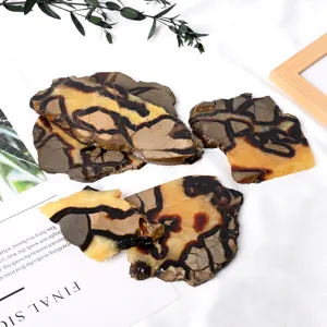 Natural tortoise shell stone slices mineral specimens for desktop home decor wholesale.