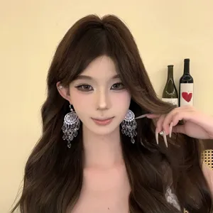 Elegant dreamcatcher crystal fringe earrings, cold style niche design jewelry for autumn winter.