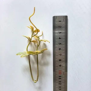 Detailed view of artificial PVC leaf sprig accessory, showing size with metal ruler for craft.