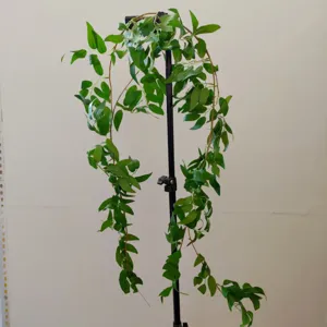 Ramo di salice artificiale 170cm finte foglie verdi per decorazione sfondo matrimonio.