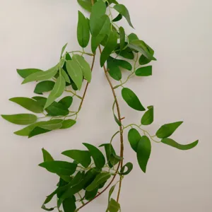 Pianta di vite di foglie di salice artificiale per matrimonio festa decorazione da parete 170cm