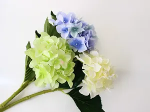 Vista dettagliata ortensia finta, fiore in seta multicolore per decorazione e foto.