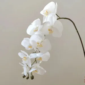 Ramo di fiori di orchidea phalaenopsis bianca artificiale, vista di dettaglio decorativo.
