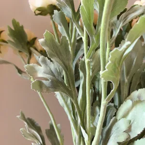 Dettaglio di fiore di ranuncolo artificiale foglie vellutate pianta verde deco