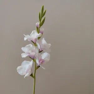 Detail shot of a single stem artificial gladiolus flower with white and purple petals.