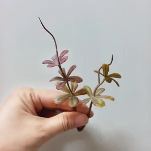 Small leaf PVC plant 5-petal artificial flower DIY handmade corsage hat decorative accessory