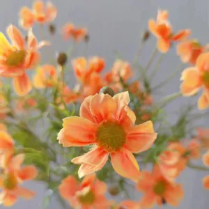 Close-up detail of artificial orange cosmos flowers, perfect for DIY crafts and floral arrangements.