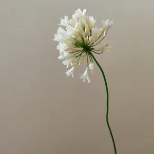 Detail shot of artificial white agapanthus flower stem, clean background for decor.