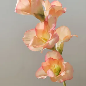 Close-up detail of peach pink artificial gladiolus flower macro home decor stem.