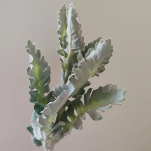 Artificial dusty miller leaf floral arrangement accessory, flocked green plant stem detail.