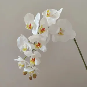 Close-up detail of artificial white phalaenopsis orchid flower with natural texture.