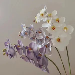 Artificial Phalaenopsis Flower 9 Heads Silk Orchid Branch Fake Floral For Home Wedding Decor Photography Prop