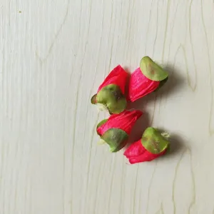 4pcs artificial poppy flower buds silk floral heads for DIY hairpins Hanfu hat crafts accessories