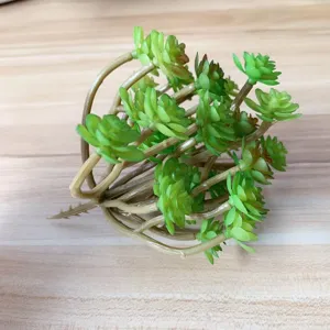 Kunstliche Miniatur Sukkulente grüne Pflanzen Bündel für Mikrolandschaft DIY Dekoration.
