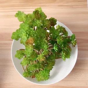 Künstliche Sukkulente Pflanze Mini Falsches Grün Kunststoff Blumenarrangement für Mikrolandschaft Heimdekoration