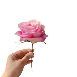 Single branch French artificial rose silk flower pink bloom for home wedding party decor