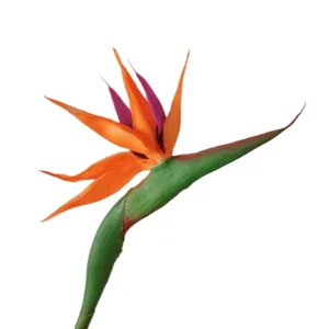Künstliche Paradiesvogelblume Blume künstliche Pflanze für Heimdeko Blumenarrangement