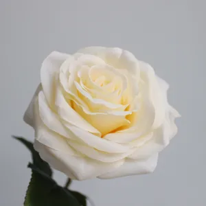 Primo piano dettagliato di grande fiore di rosa artificiale in seta crema per arredamento.