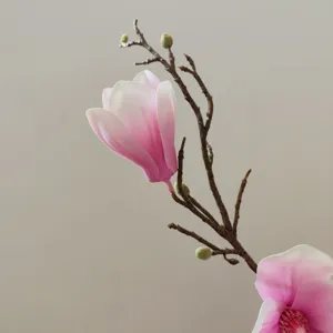 Primo piano dettagliato di ramo di fiore di magnolia rosa con gemme realistiche.