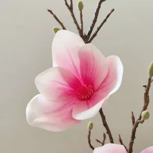 Primo piano dettaglio fiore magnolia artificiale rosa bianco petalo decorazione casa foto