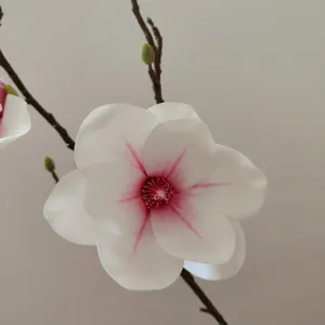 Dettaglio in primo piano di un ramo di fiore di magnolia bianca artificiale con sfumatura rosa.