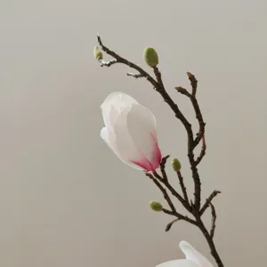 Dettaglio ramo di magnolia artificiale, fiore di seta realistico per decorazione.
