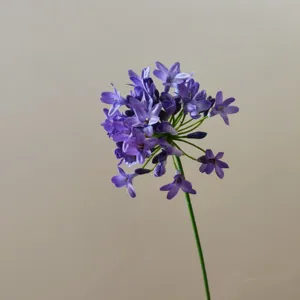 Detailed close-up shot of artificial purple agapanthus flower stem for home decor and props.
