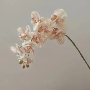 Orchidea phalaenopsis artificiale a 9 teste di alta qualità, ramo di fiori grigio avena.
