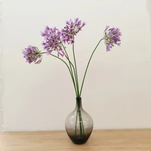 Artificial Agapanthus silk flowers in gradient glass vase for home decor and display props.