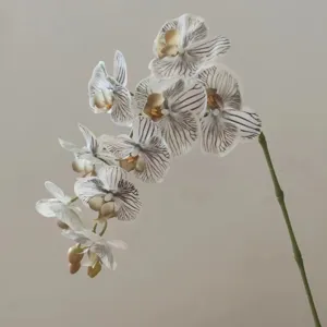 Stelo di orchidea Phalaenopsis artificiale 3D inchiostro grigio fiore decorativo casa