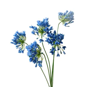 Artificial blue agapanthus silk flower bouquet for home decoration and photography props.