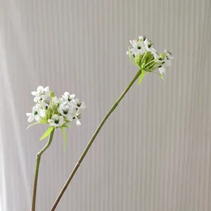 Artificial Star of Bethlehem flower detail shot, white silk floral decor for window props.