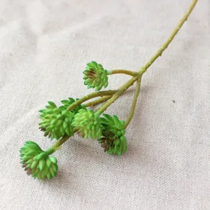 Ramo di pianta succulenta artificiale a 6 teste verde finto per micro paesaggio decoro