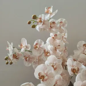 Vista di dettaglio di orchidea phalaenopsis artificiale 3D di alta qualità grigio avena.