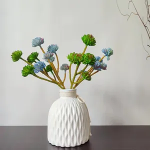 Pianta succulenta artificiale in vaso ceramica bianco, design 6 teste realistico dettaglio.