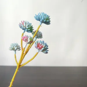 Primo piano di un ramo di succulente artificiali a 6 teste per micro paesaggio fai da te.