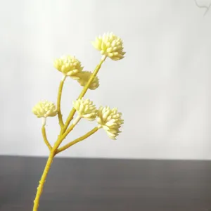 Vista dettagliata ramo di fiori succulenti artificiali, pianta in miniatura multicapo.
