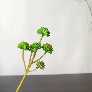 Primo piano dello stelo di pianta succulenta artificiale a 6 teste per decorazioni fai da te.