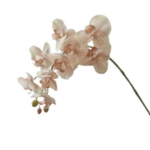 Orchidea Artificiale 9 Teste Phalaenopsis Grigio Avena Finto Fiore Decorazione Casa