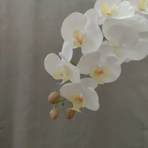 Detail view of white artificial phalaenopsis orchid flowers with soft realistic touch petals.