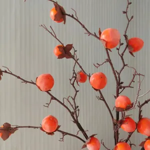 Vue en gros plan d'une branche de kaki artificielle, fruit orange vif pour déco maison et prise de vue.